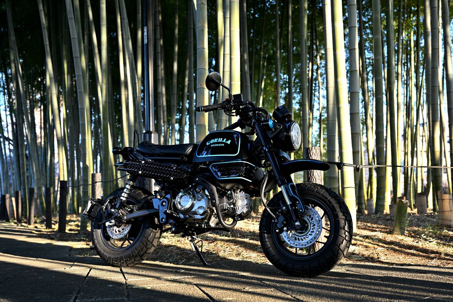 GORILLA125 ブルーバージョン3