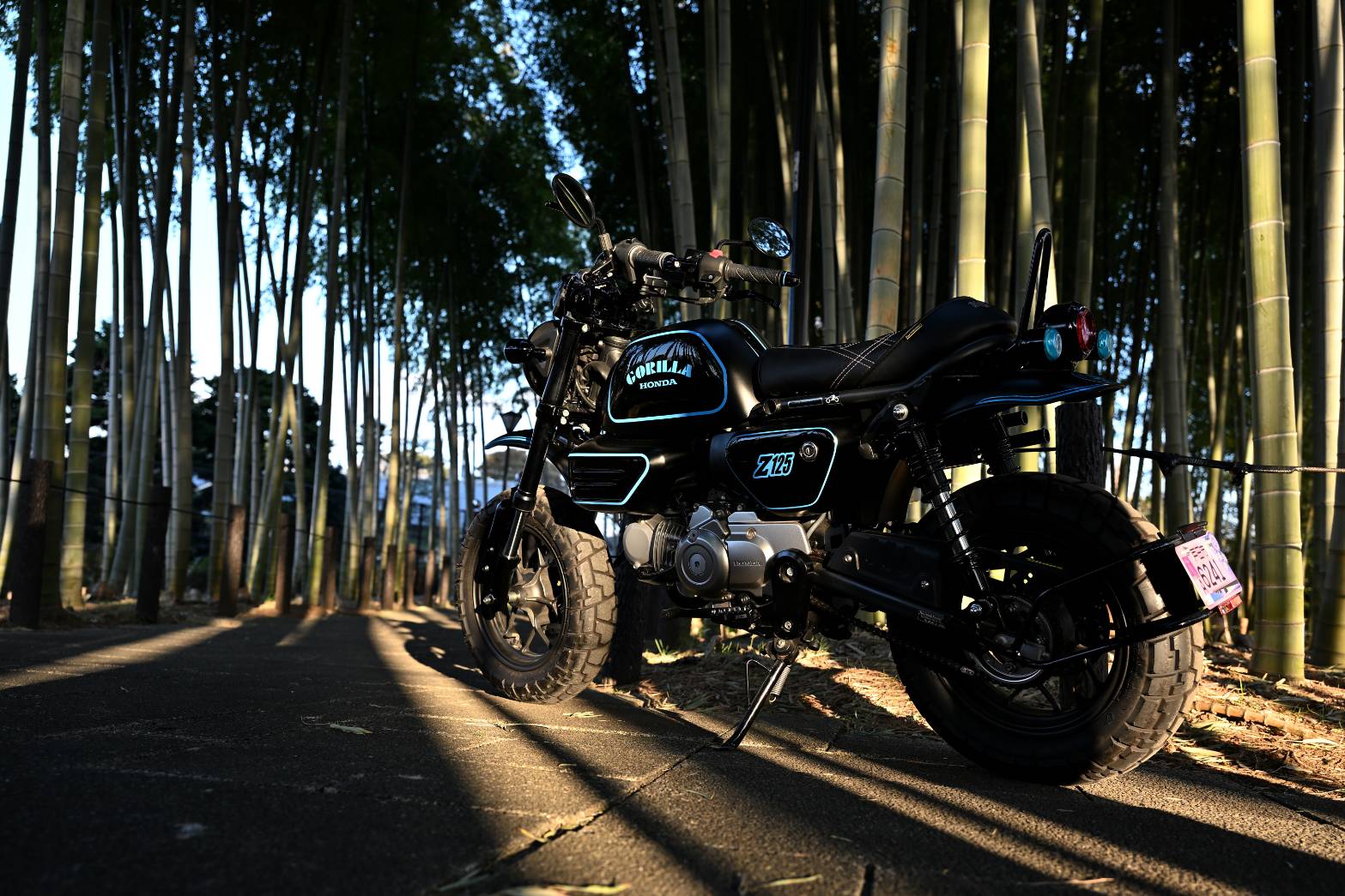 GORILLA125 ブルーバージョン3